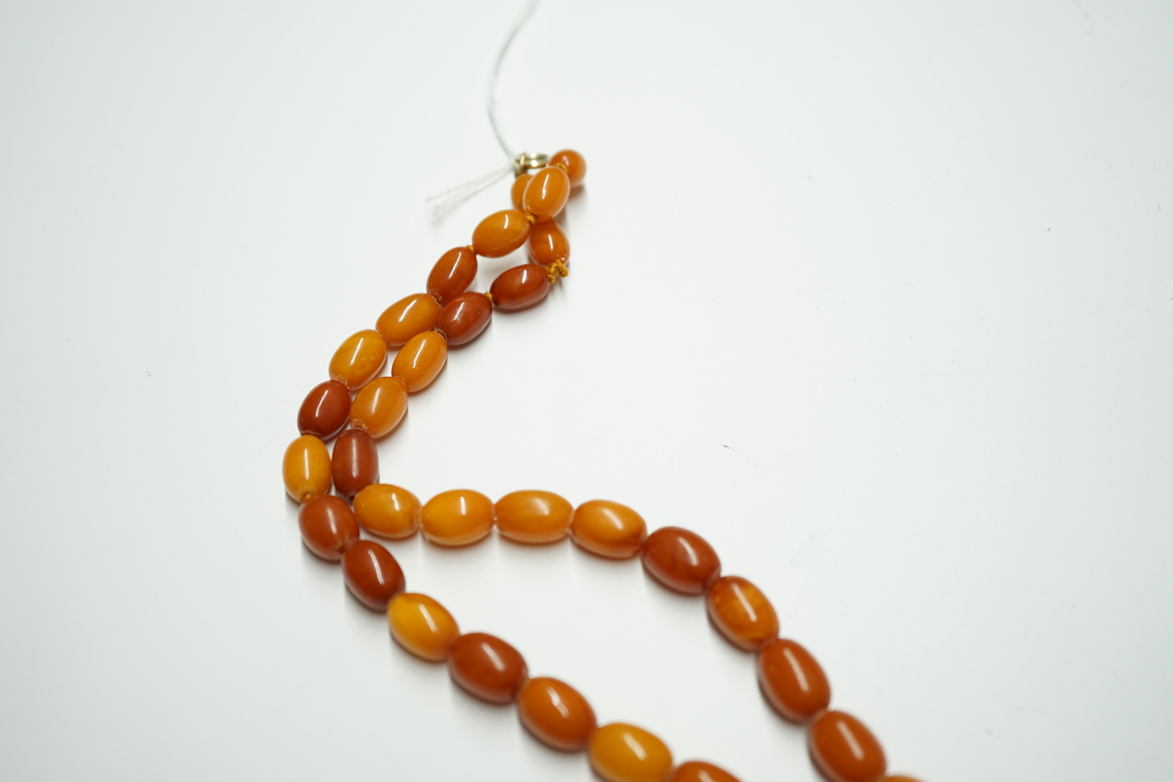 A single strand graduated oval amber bead necklace, 62cm, gross weight 33 grams